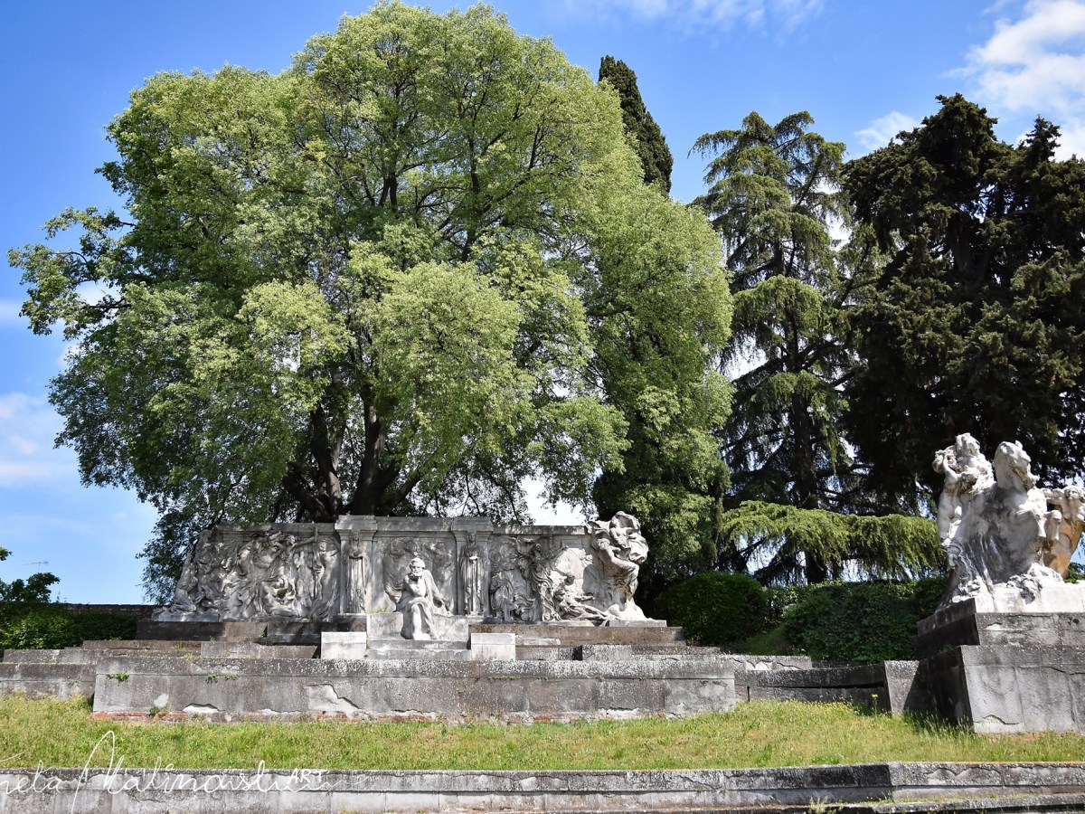 ,,Il vecchio saggio ,,Albero monumentale il&nbsp;Bagolaro