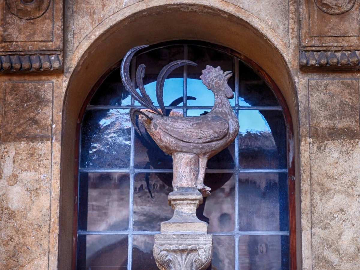 Gallo di San Pietro a Basilica di Santo&nbsp;Stefano