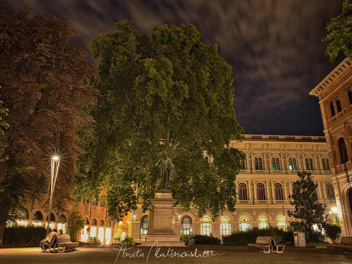 Albero monumentale -Platano comune – Guardiano della piazza&nbsp;Minghetti
