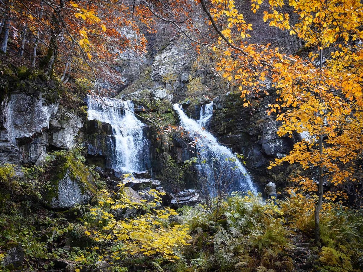Alla scoperta delle cascate del Dardagna nel bosco dove gli alberi hanno il&nbsp;cuore.