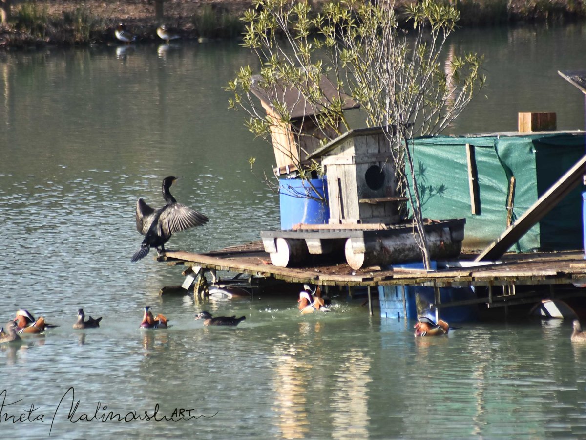 Parco dei Giardini della&nbsp;Corticella
