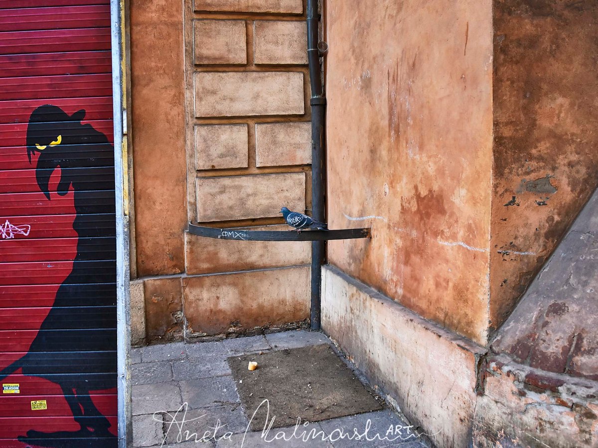 ,,Pissabraghe antibandito” …Curiose  barriere e coni a&nbsp;Bologna.