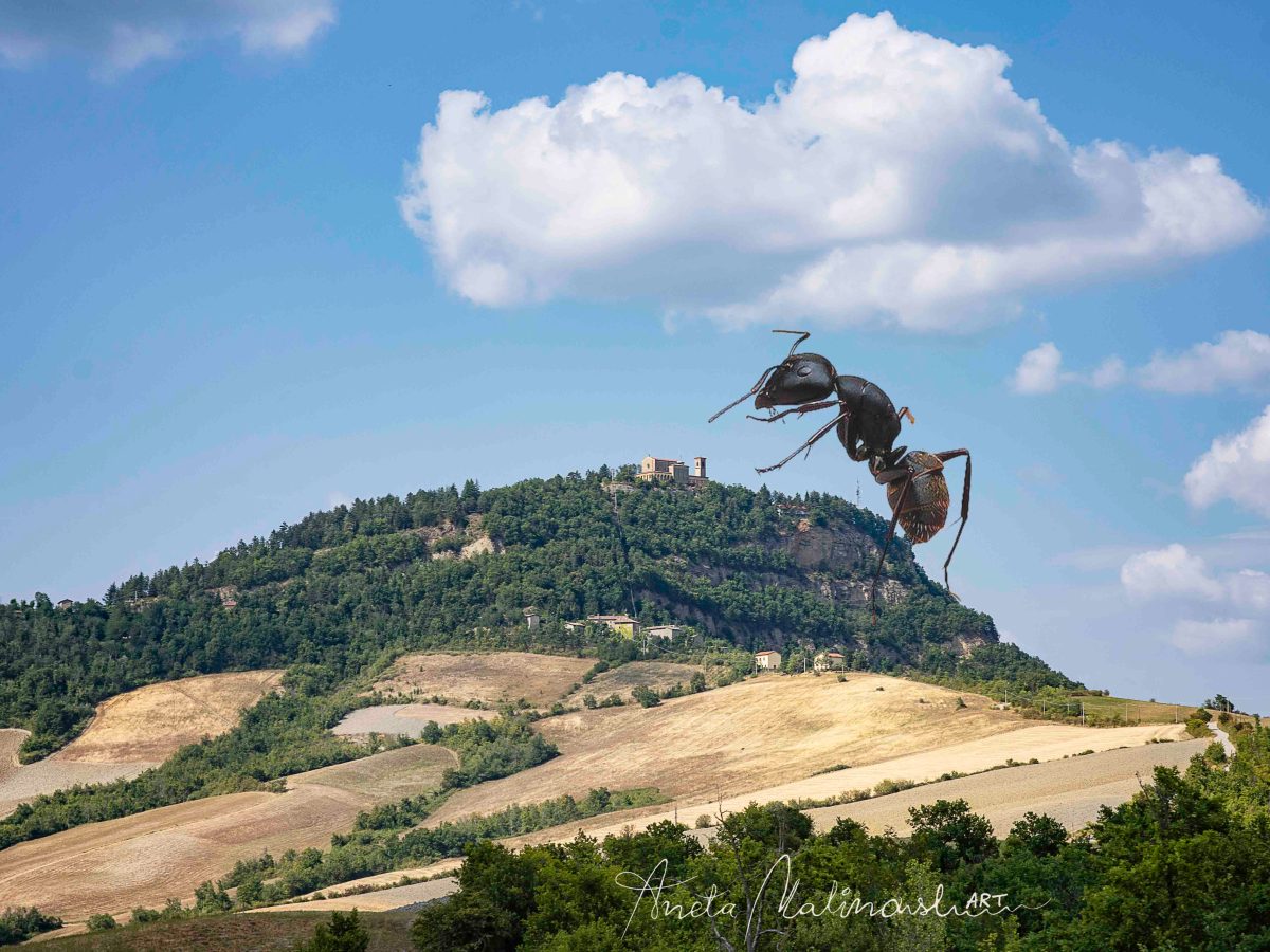 Monte Delle Formiche🐜-posti da scoprire -Santuario e castello&nbsp;Zena