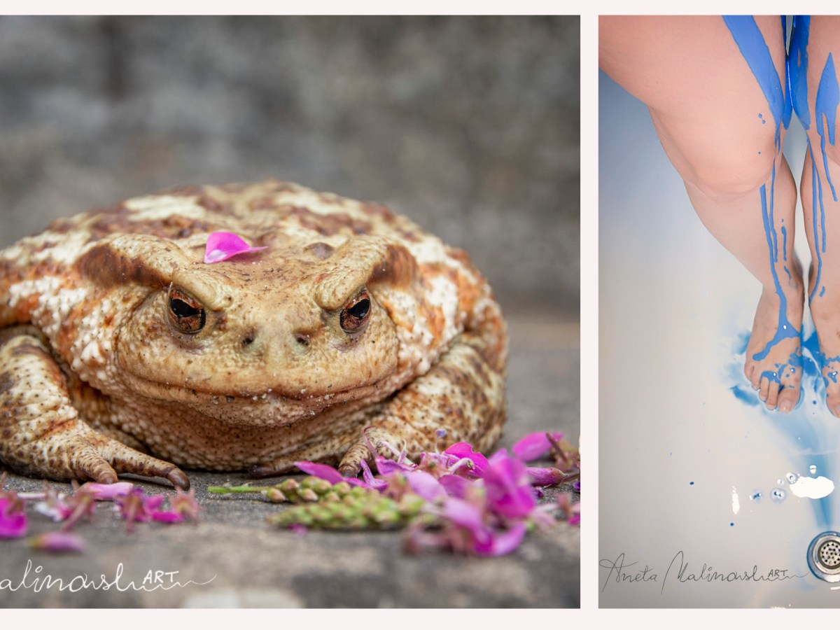 La coppia reale principe e&nbsp;principessa