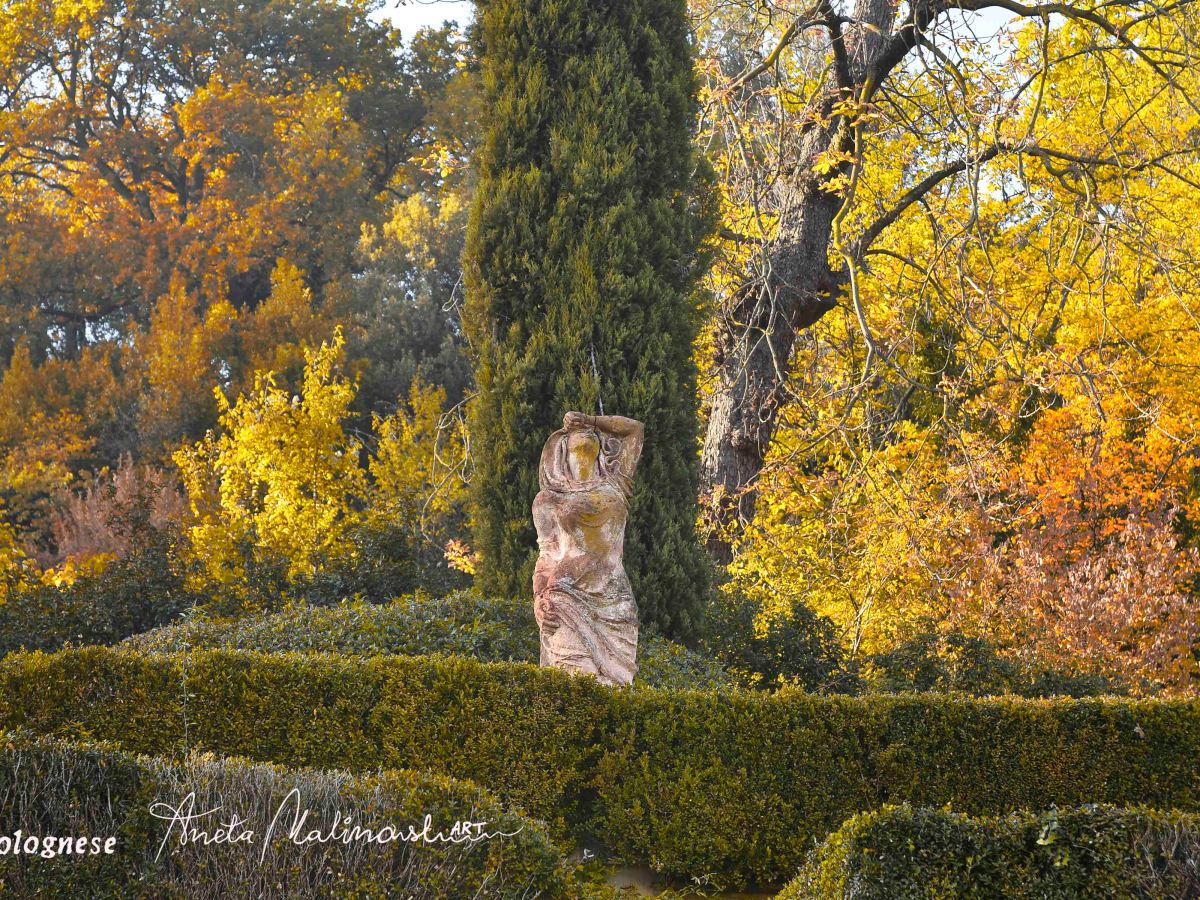 Statue in Autunno: A Spasso per Bologna. Galleria&nbsp;Fotografica🍁
