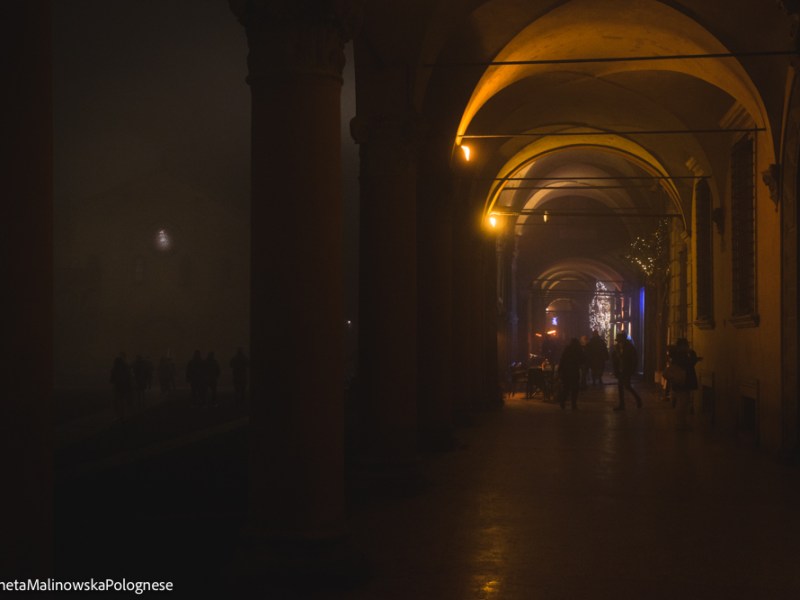 Bologna con la nebbia-galleria&nbsp;fotografica